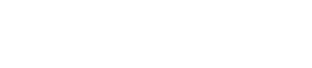 SLOT81